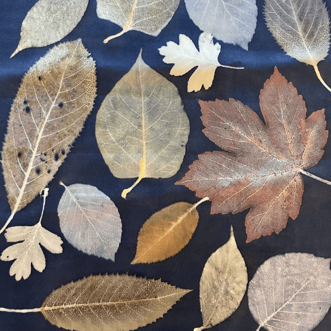 ecoprint with autumn leaves showing seasonal color variations