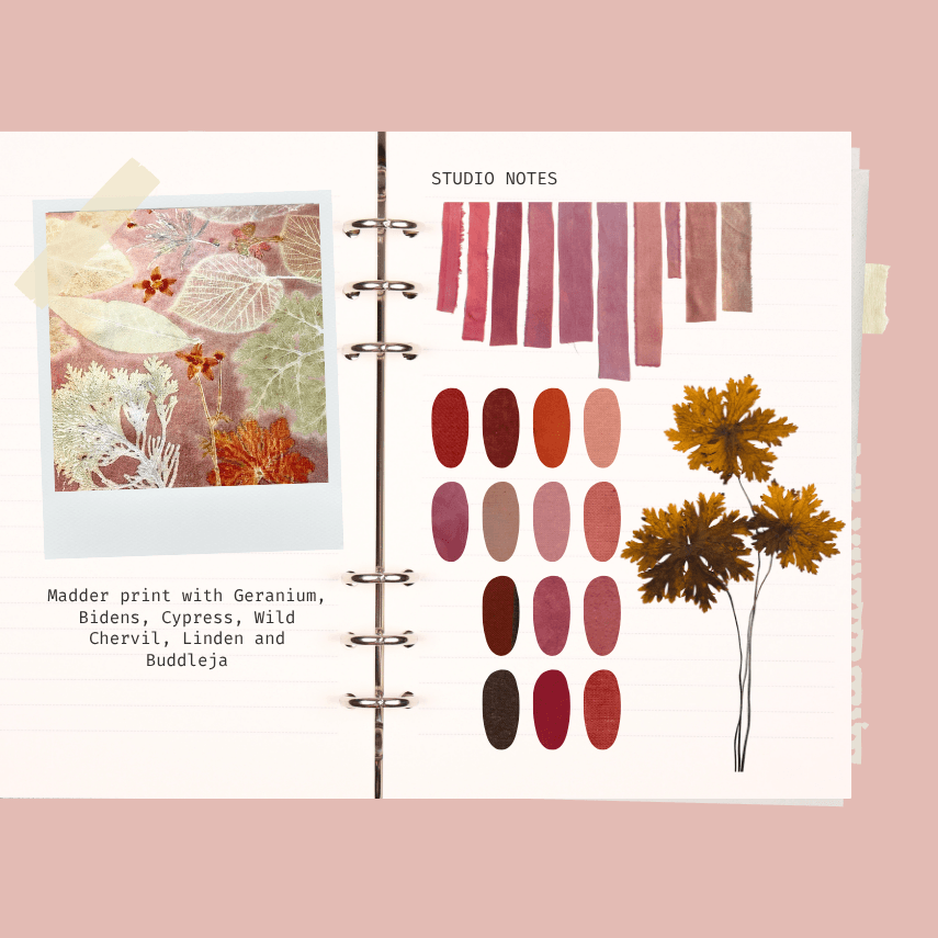 ecoprint process book with color samples, plant prints and studio notes