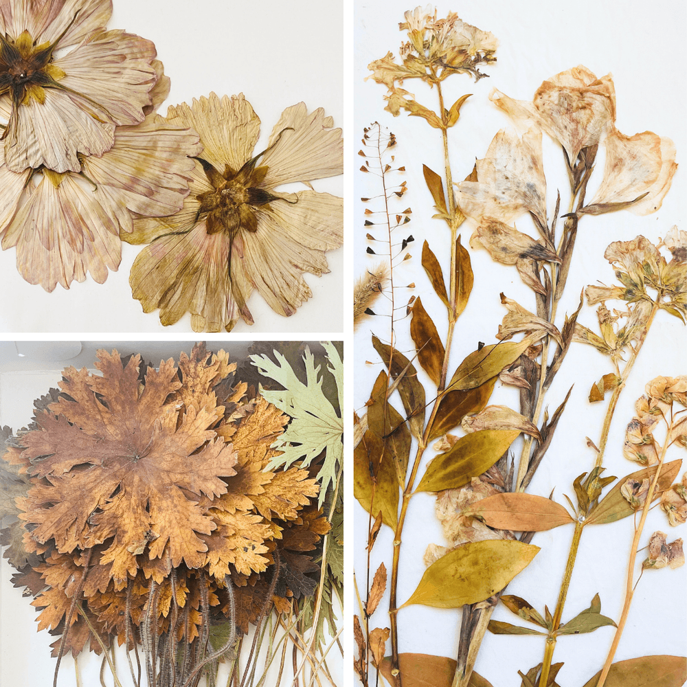 Printed Flora Example LEARN THE ART OF ECO-PRINTING WITH FLOWERS AND PLANTS