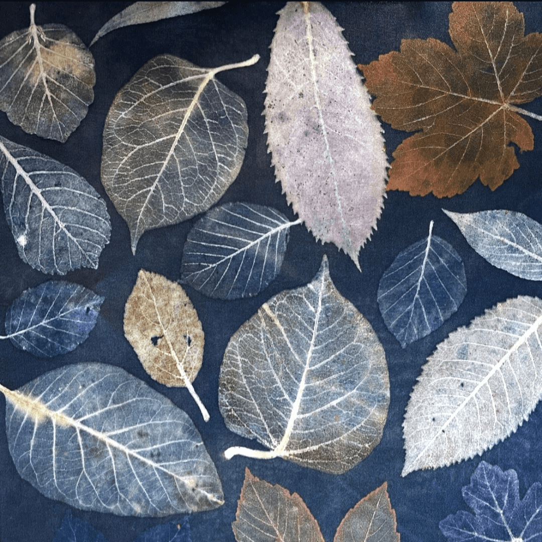 ecoprint process, materials and workflow