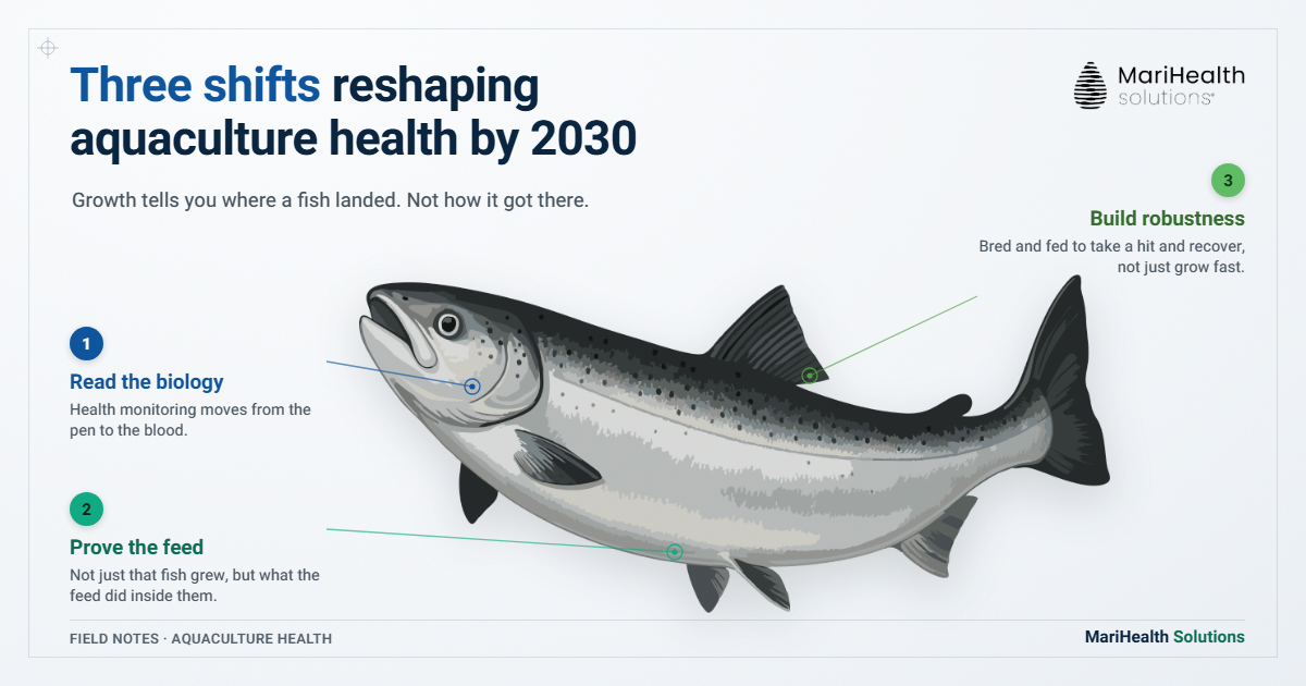 A labelled Atlantic salmon specimen marking the three shifts reshaping aquaculture health by 2030: reading the animal's biology, proving what the feed does inside the fish, and breeding for robustness.
