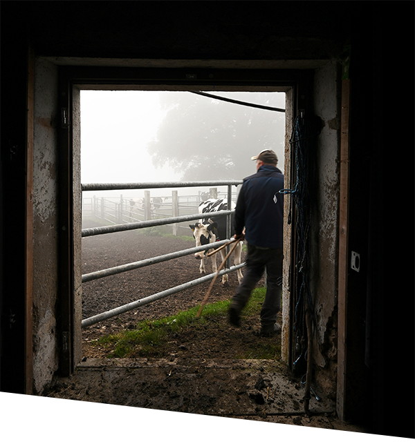 Frédéric Palladino: «Culture(s) de vies» | Vernissage