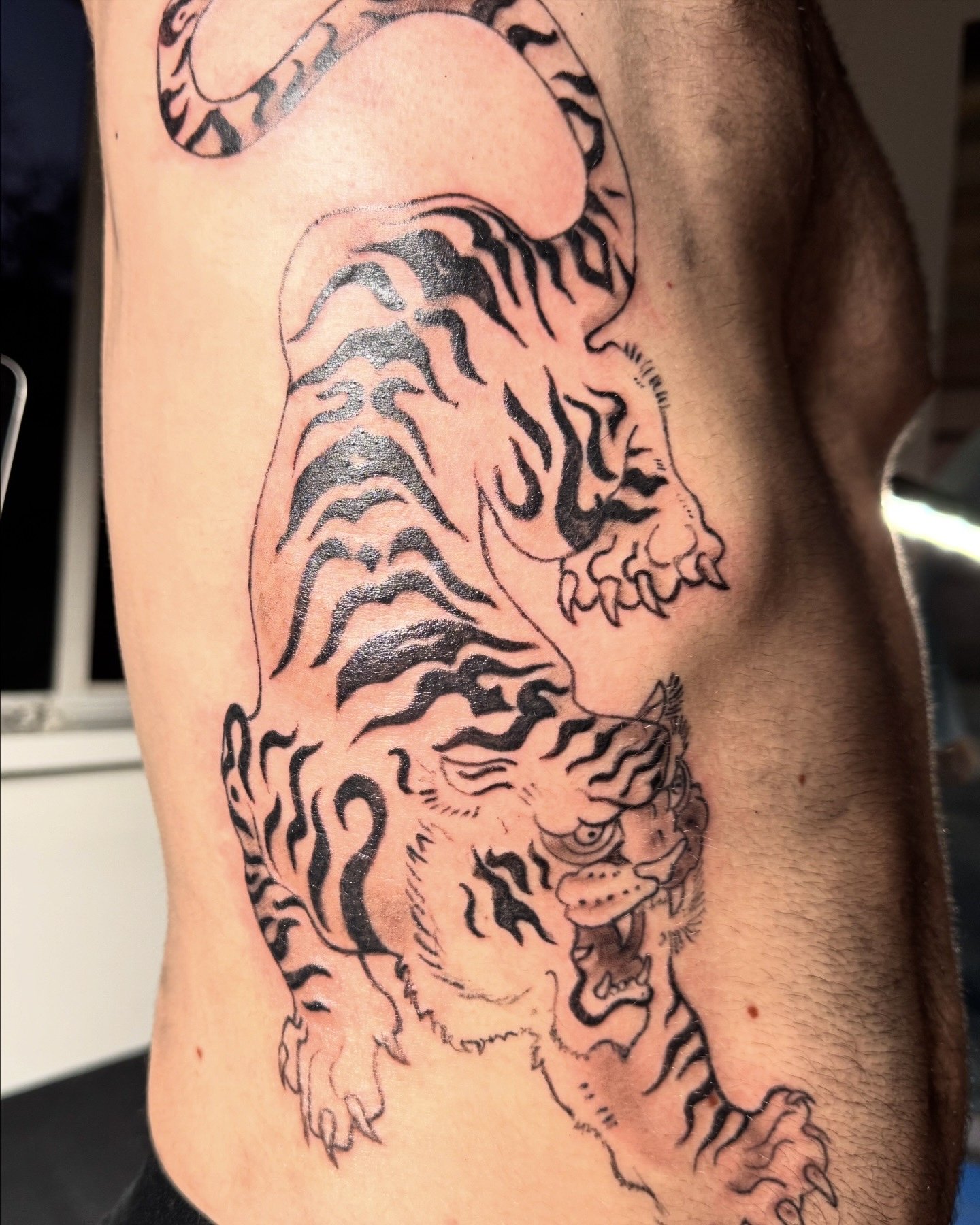 Tiger