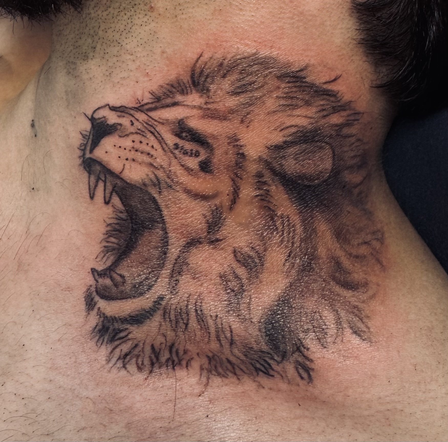 Lion