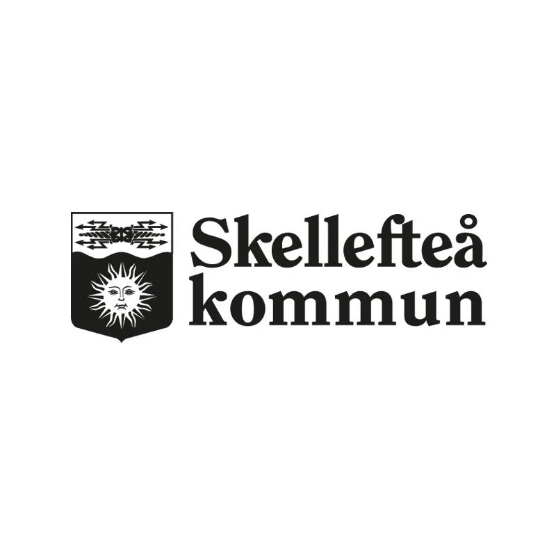 Senior analytiker