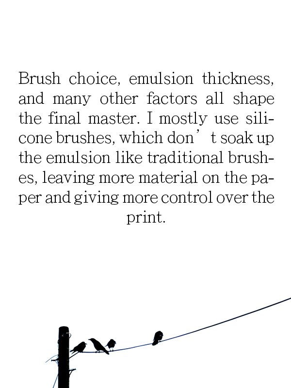 BRUSH CHOICE.jpg
