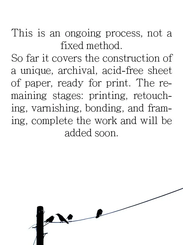 This is an ongoing process, not a fixed method.
So far it covers the construction of a unique, archival, acid-free sheet of paper, ready for print. The remaining stages: printing, retouch-ing, varnishing, bonding, and fram-ing, complete the work and 
