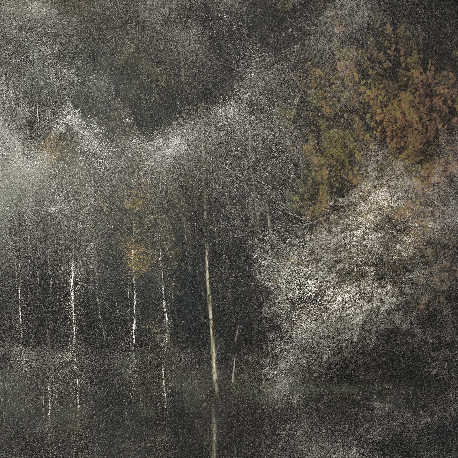 BLACK-A4-F3.jpg