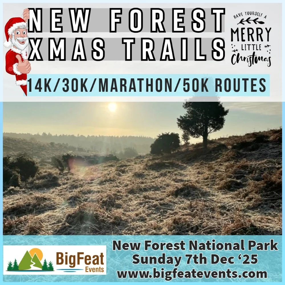 New Forest Christmas Trails