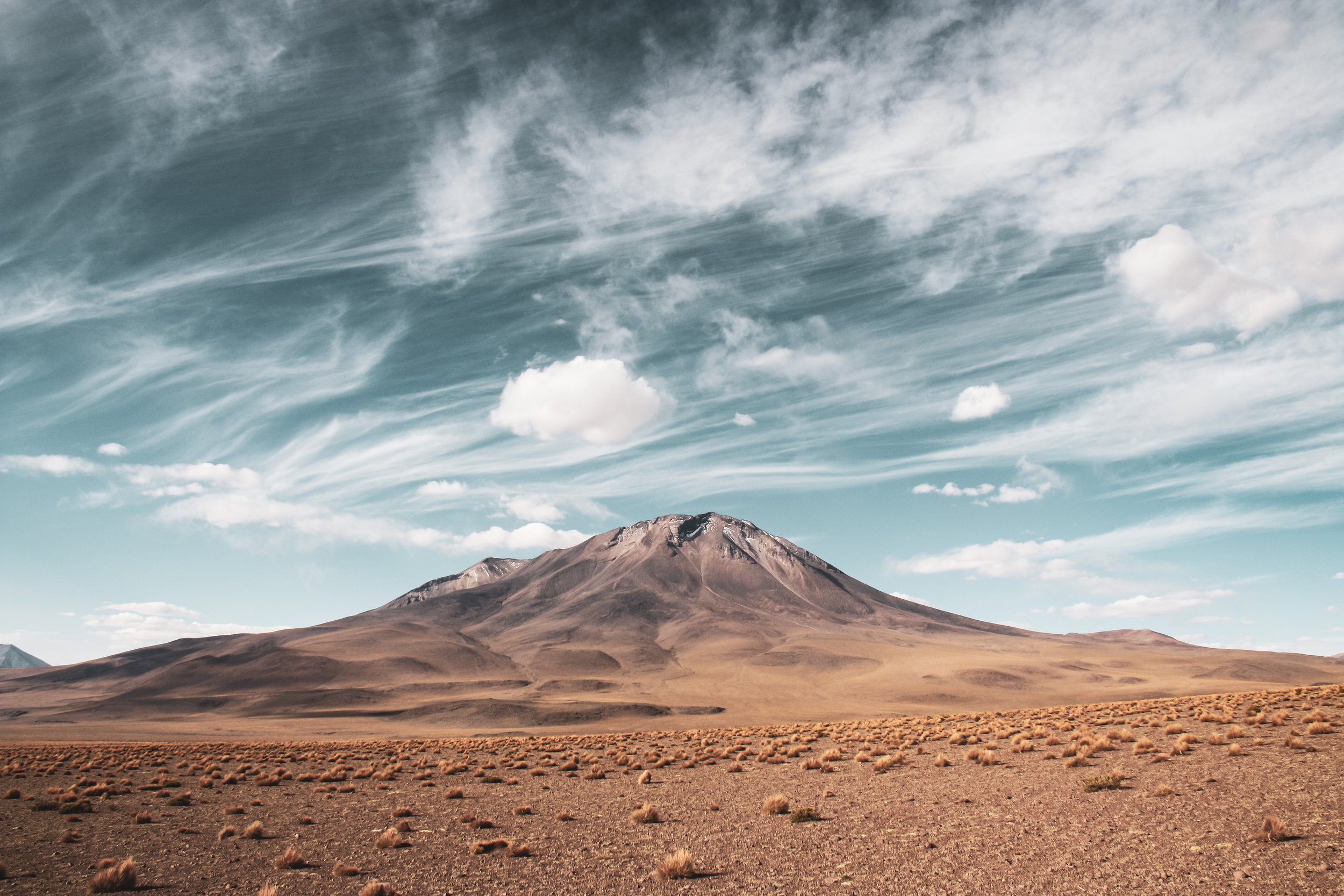 Website-Background.jpg