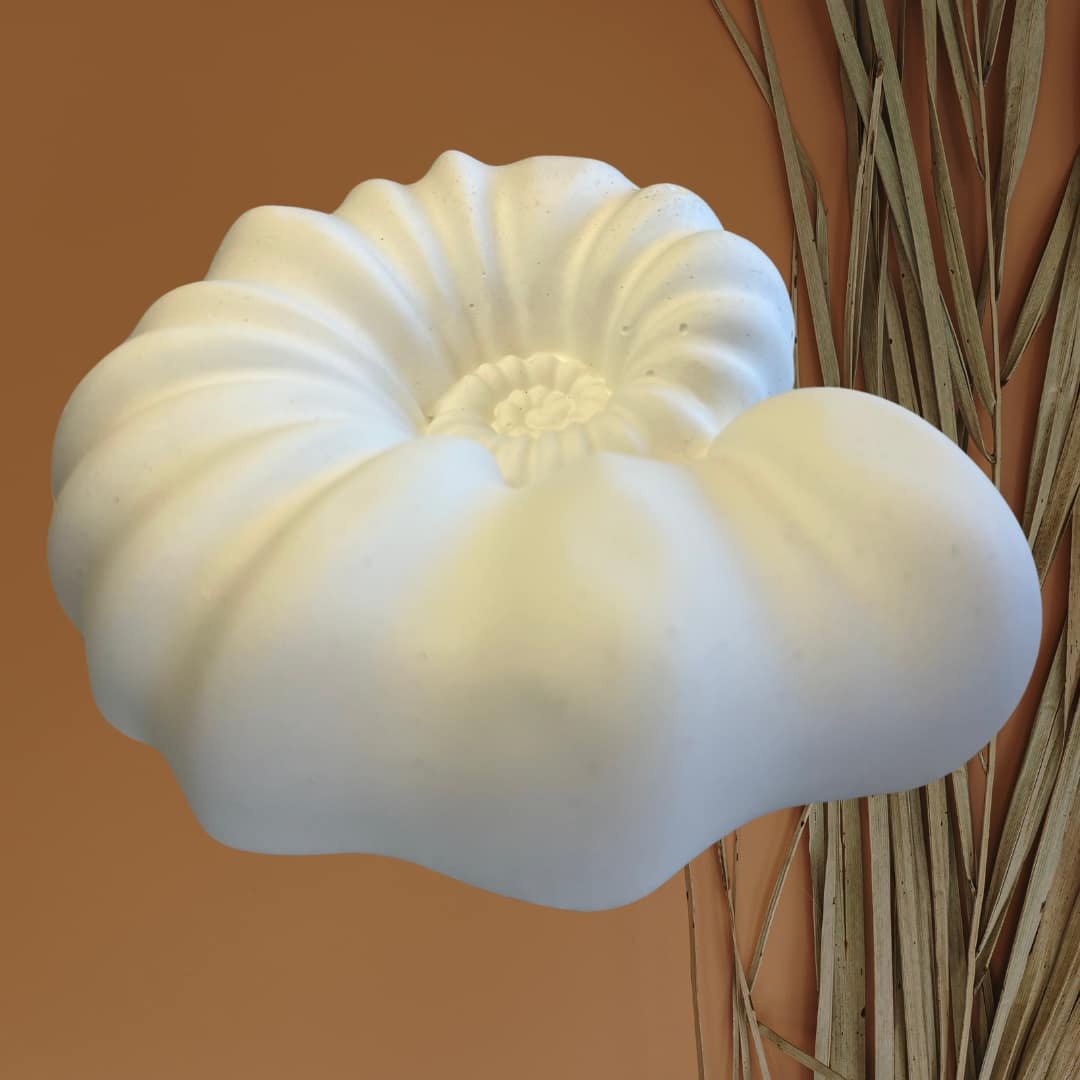 Large Spiral Shell Plaster