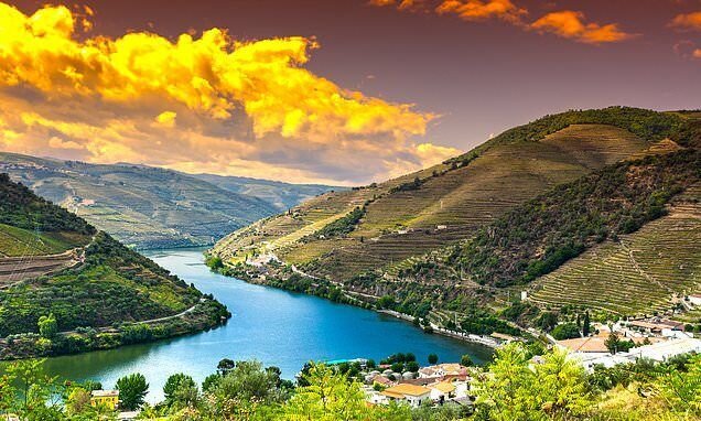 Vintage delights of the Douro: This Portuguese river cruise offers glorious scenery, historic towns - and plenty of wine tastings 

#winetasting #nottingham #arnold #westbridgford #ravenshead #sherwood #mapperley #selby #york #goole #radcliffeontrent