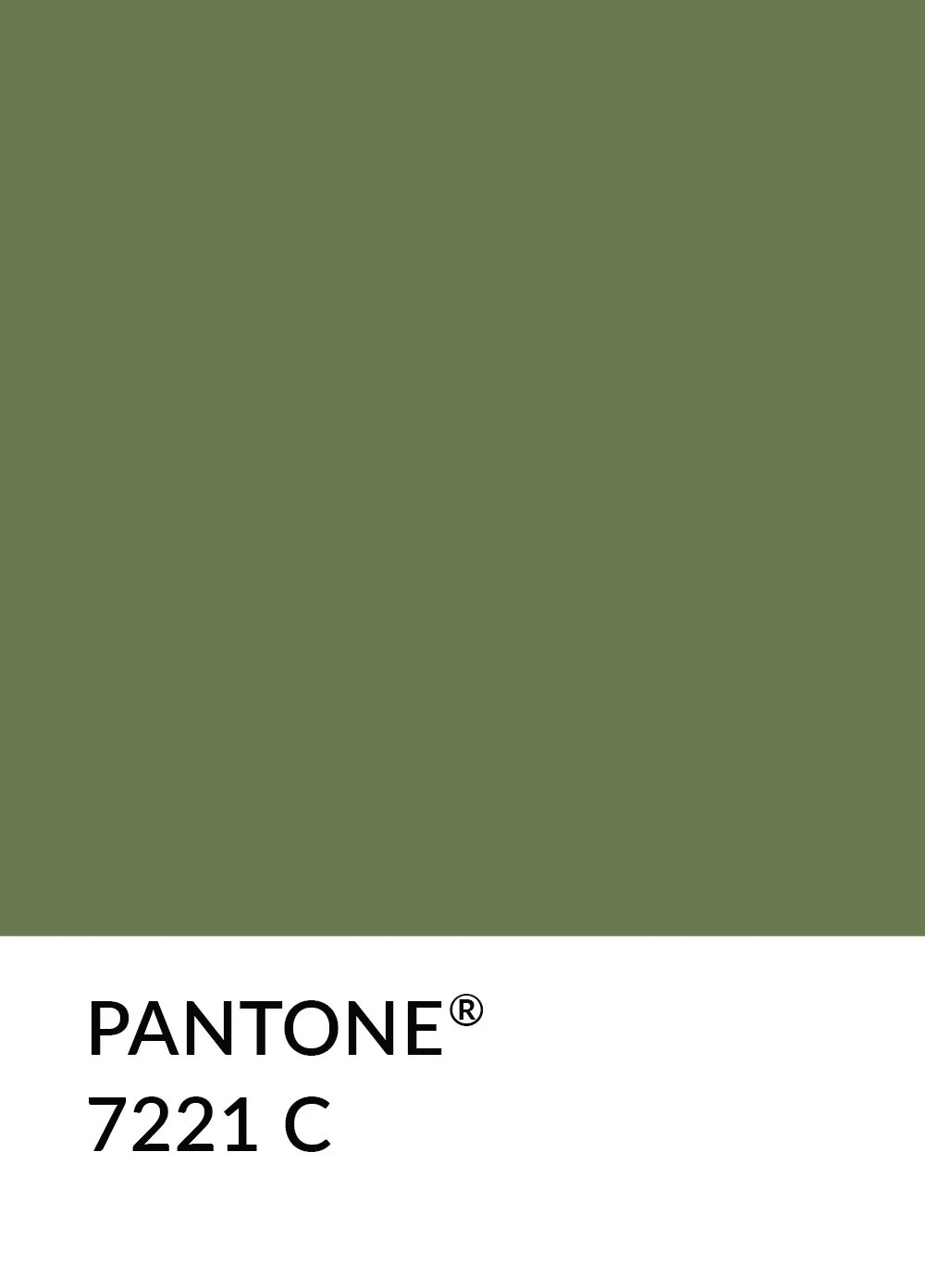 A swatch of the colour Pantone® 7221 Coated Mid-Green