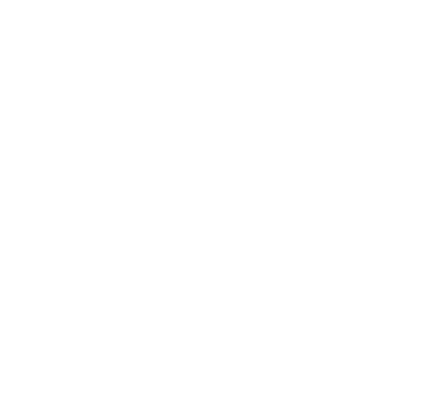 'Sestini' eyewear logo wordmark.
