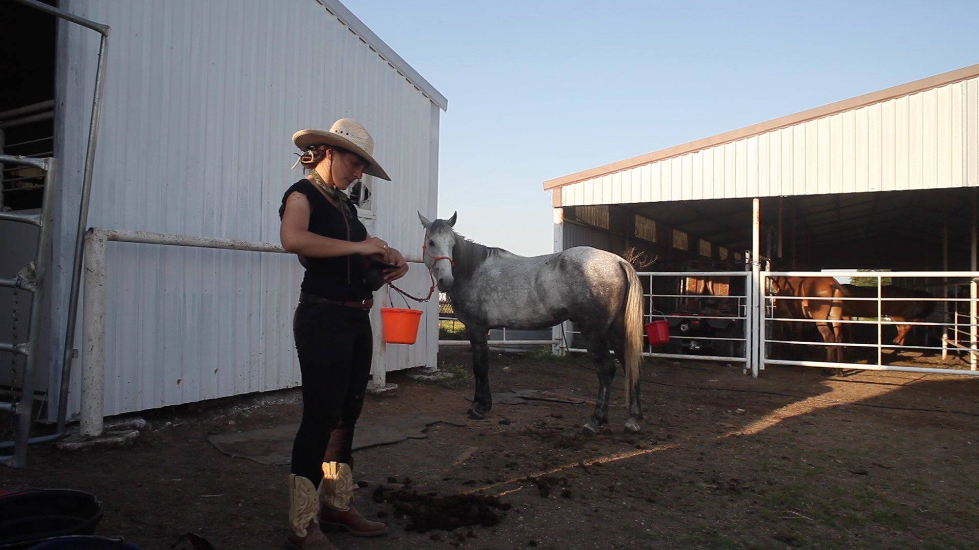 A woman wearing cowboy boots, a wide-brimmed hat, and black clothes standing outside a horse stable, feeding a grey horse using a small orange bucket.