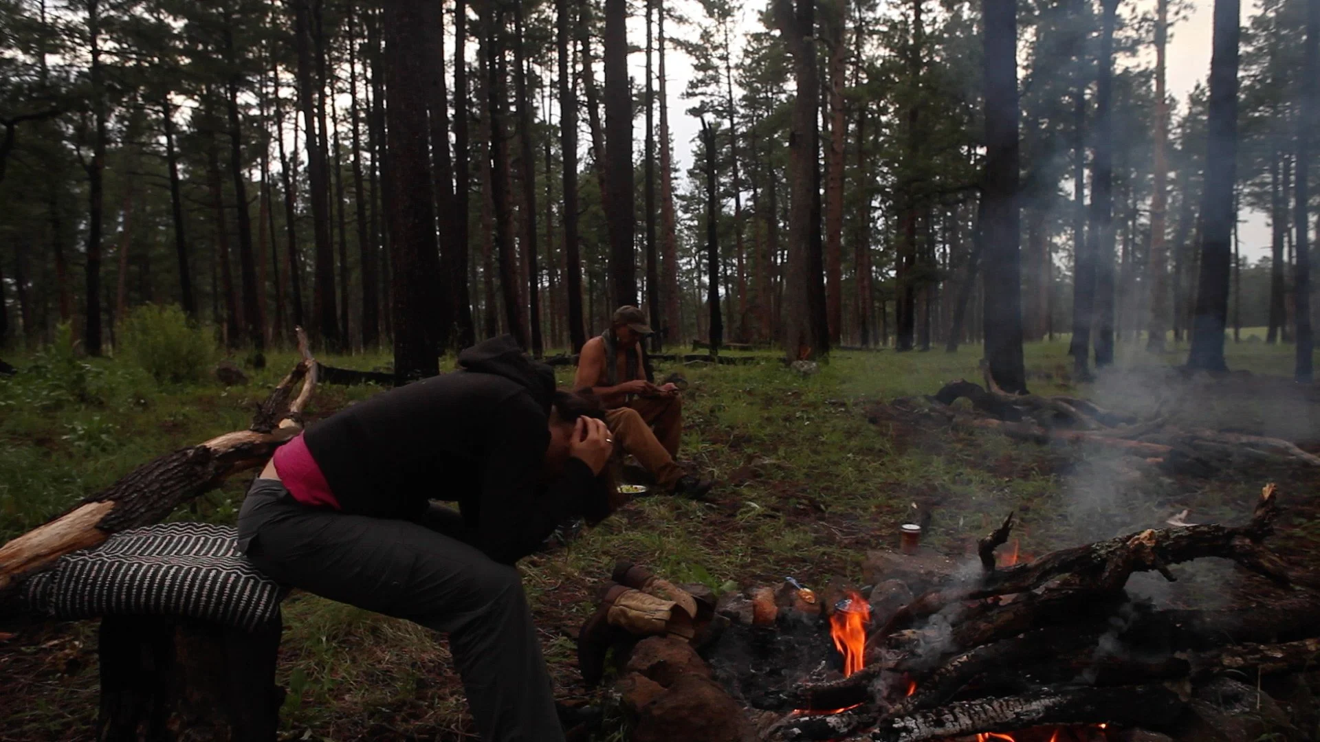 People sitting around a campfire in a forested area during dusk.