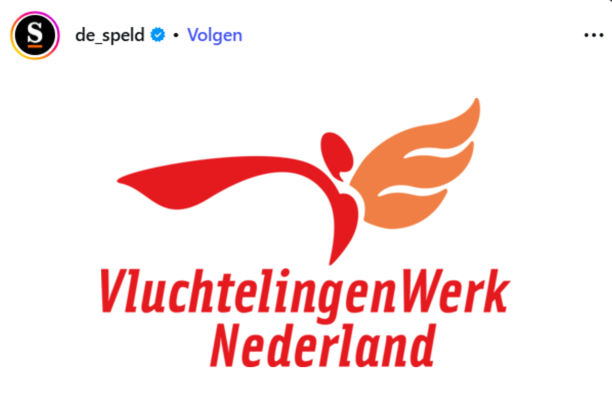VluchtelingenWerk