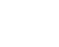 salmari.png