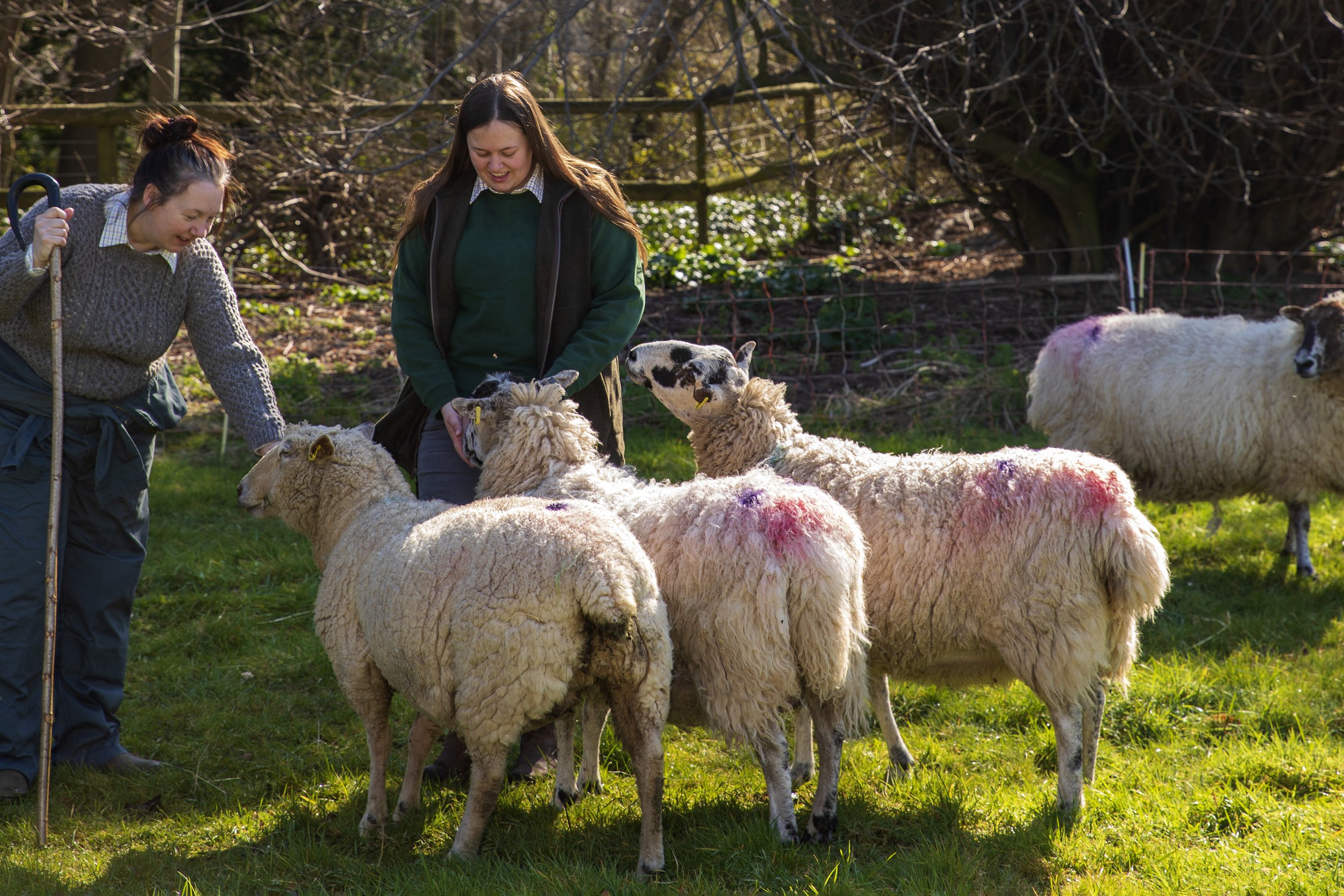 Eco_Ewe_001.jpg
