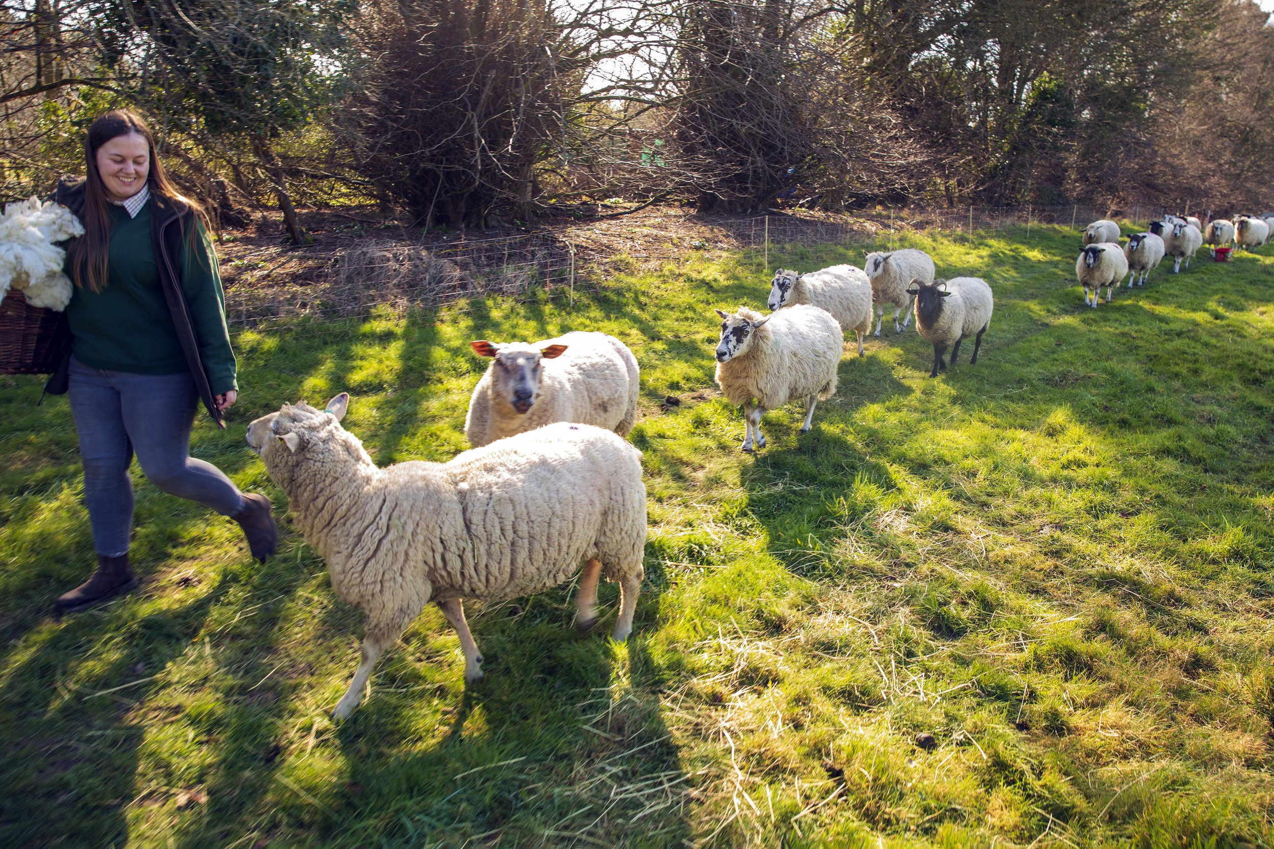 Eco_Ewe_014.jpg