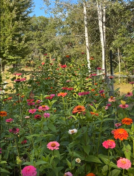 Screenshot 2026-04-08 234807.png