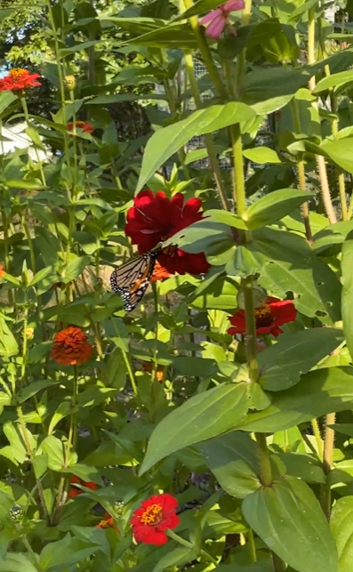 Screenshot 2026-04-08 235537.png