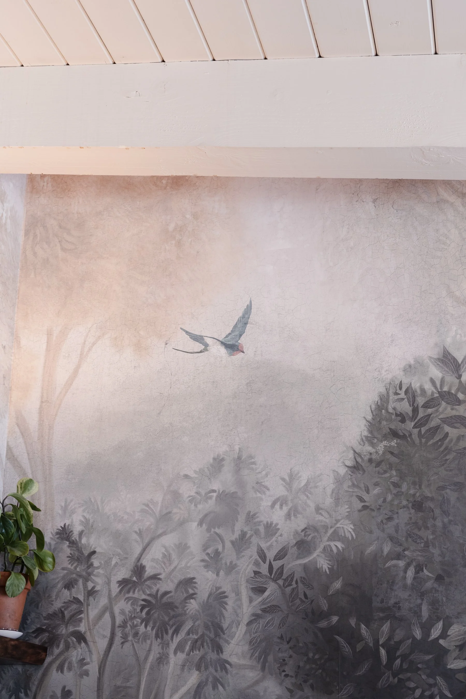 XMC 2026 Session 1_-2.jpg