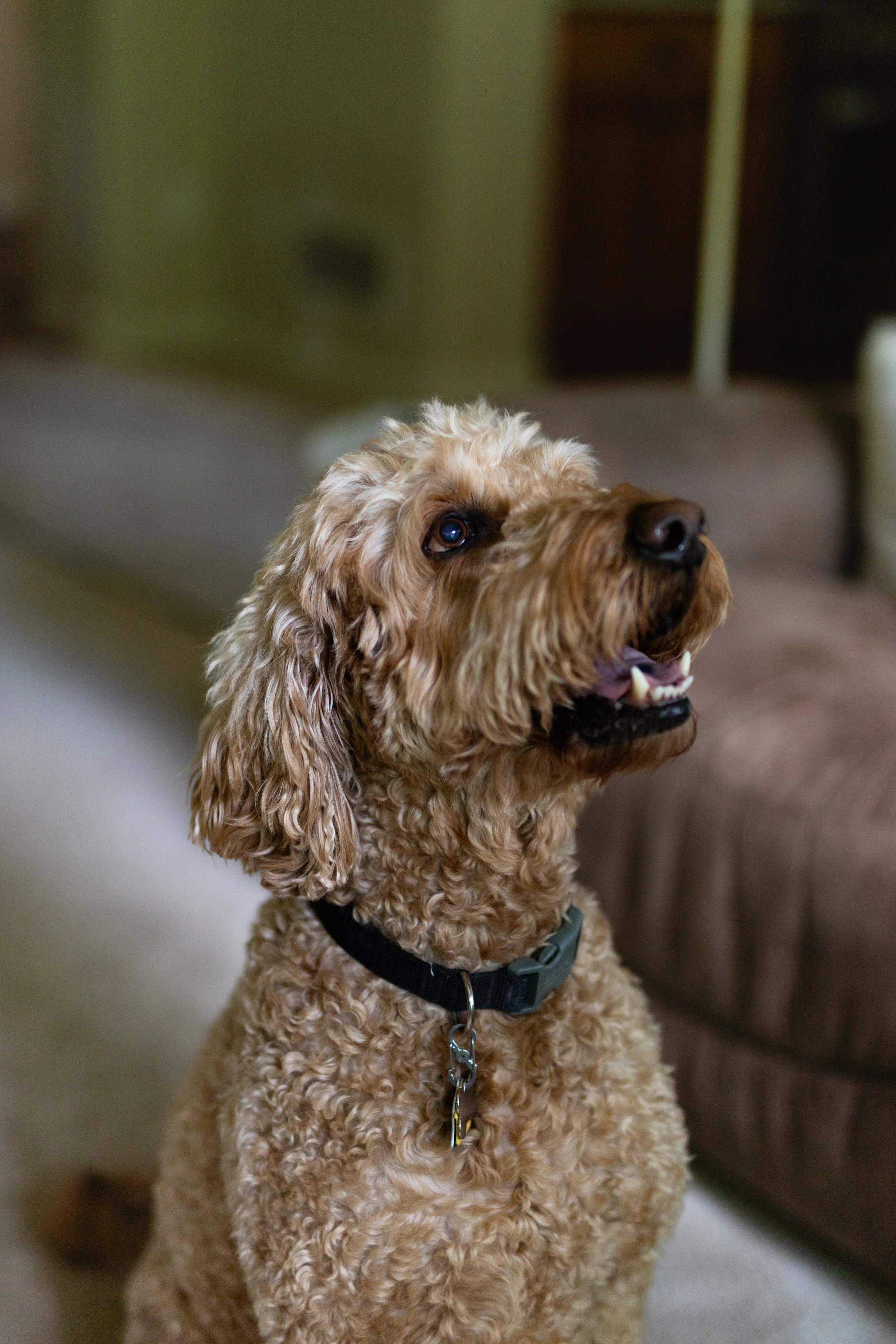 XMC Session 4 Image36.jpg