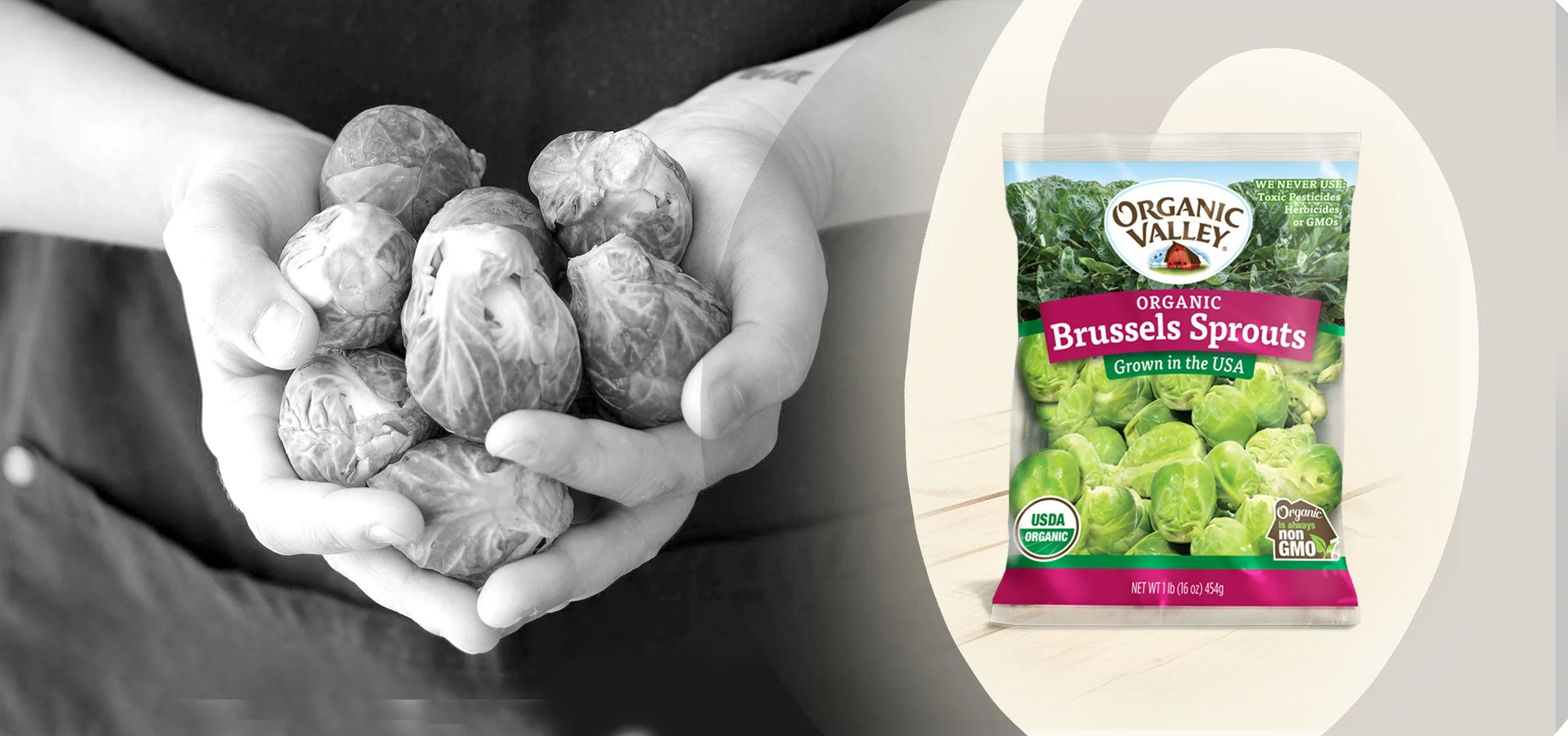 BRUSSEL PACK ORGANIC VALLEY.jpg