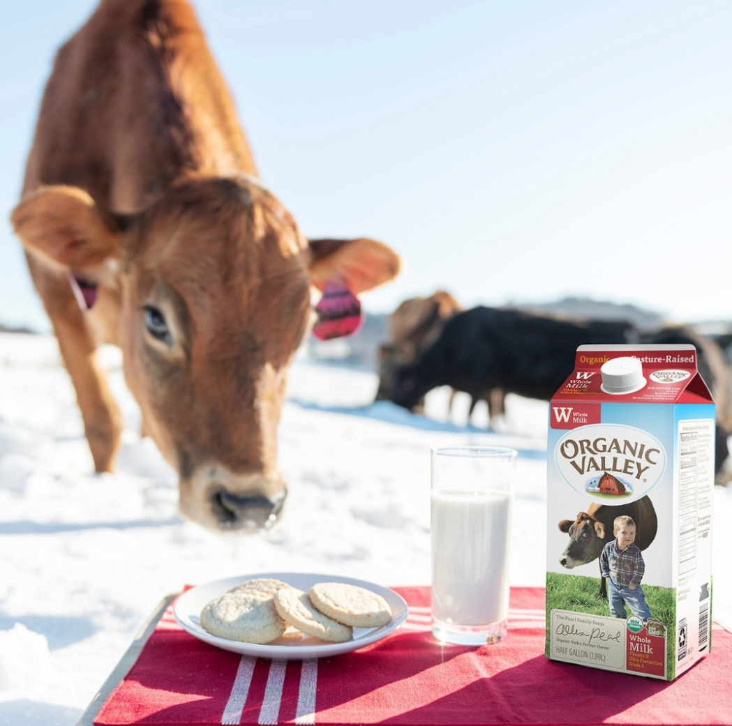 Screen Shot 2022-09-08 at 1.14.53 PM.png