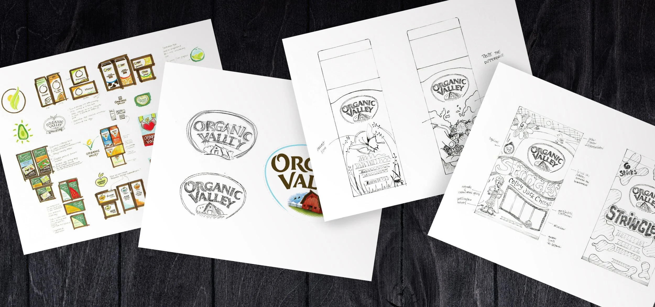 SKETCH PAGES ORGANIC VALLEY.jpg