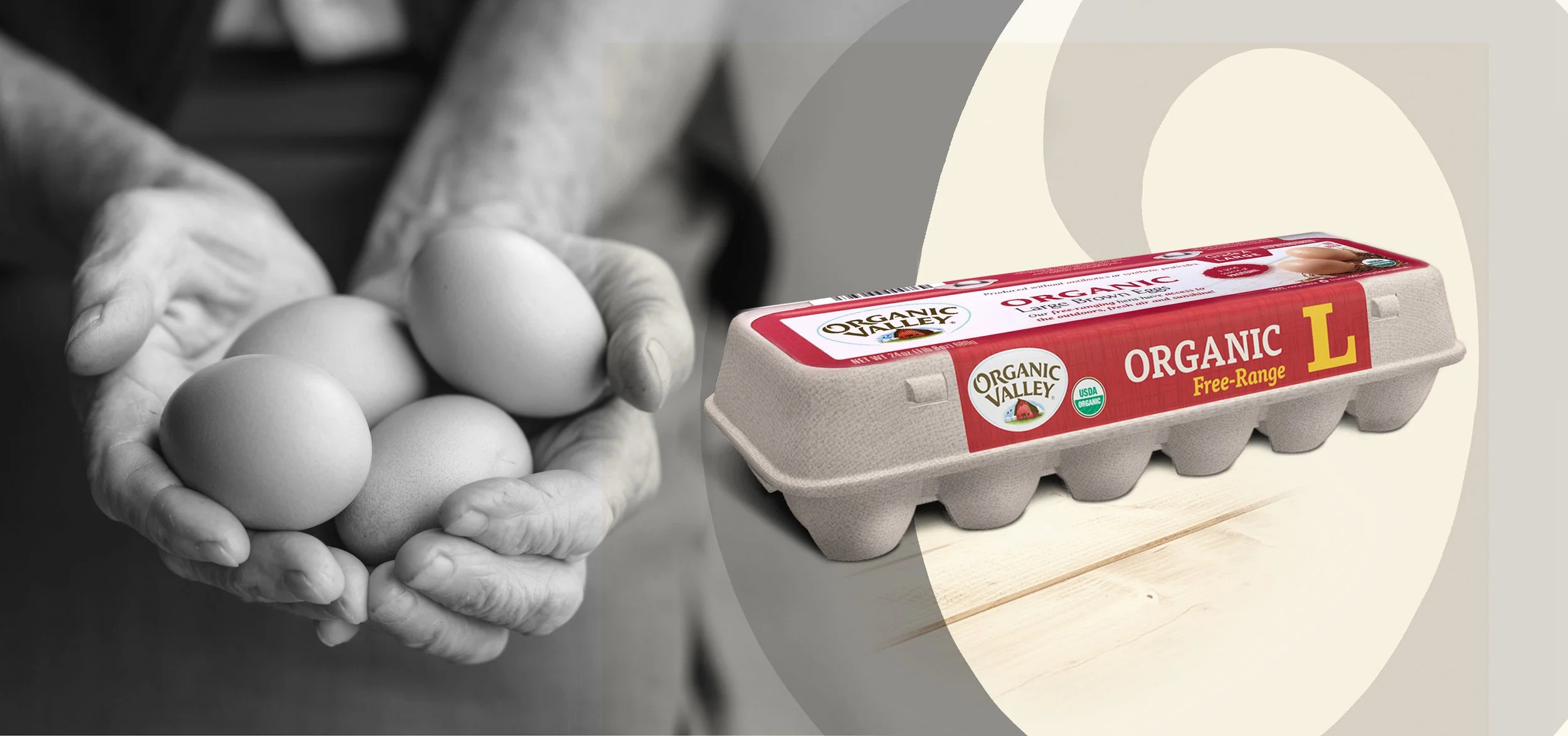 EGG PACK ORGANIC VALLEY.jpg