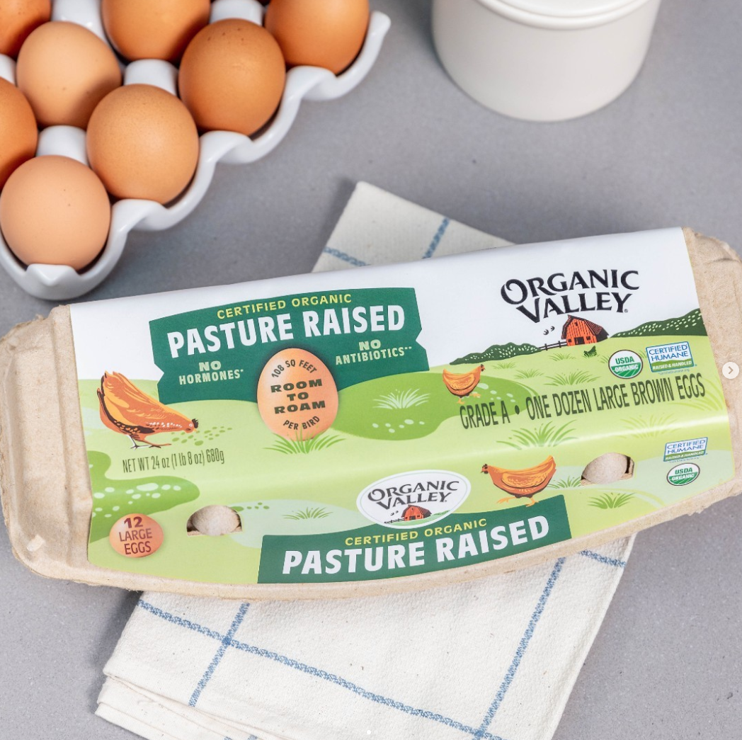 Screen Shot 2022-09-08 at 1.13.35 PM.png