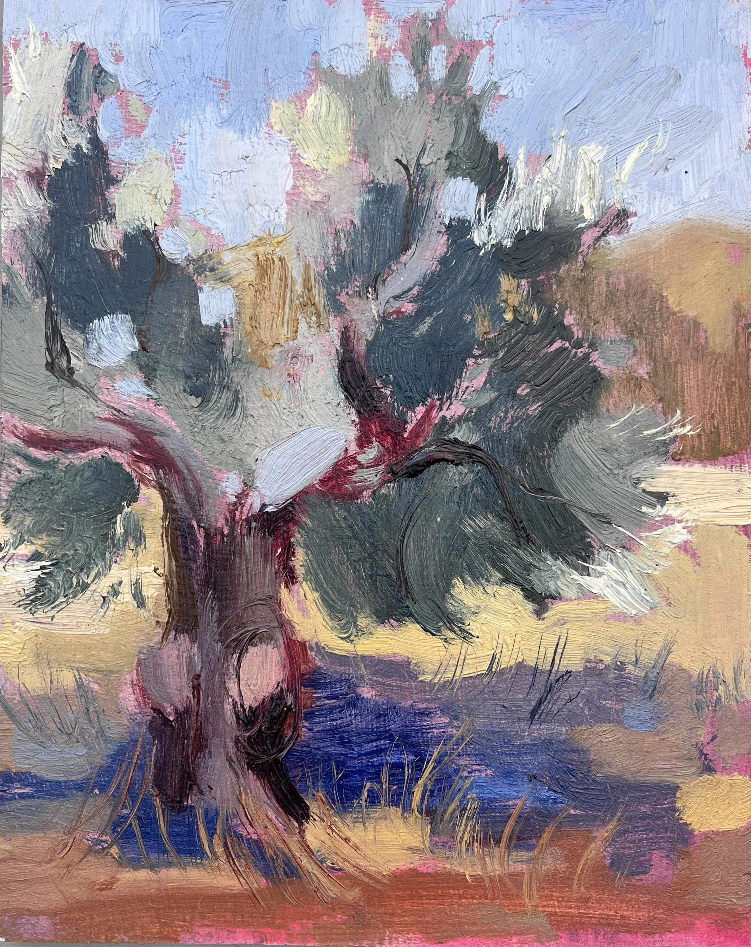 4. OLIVE IN SUNLIGHT