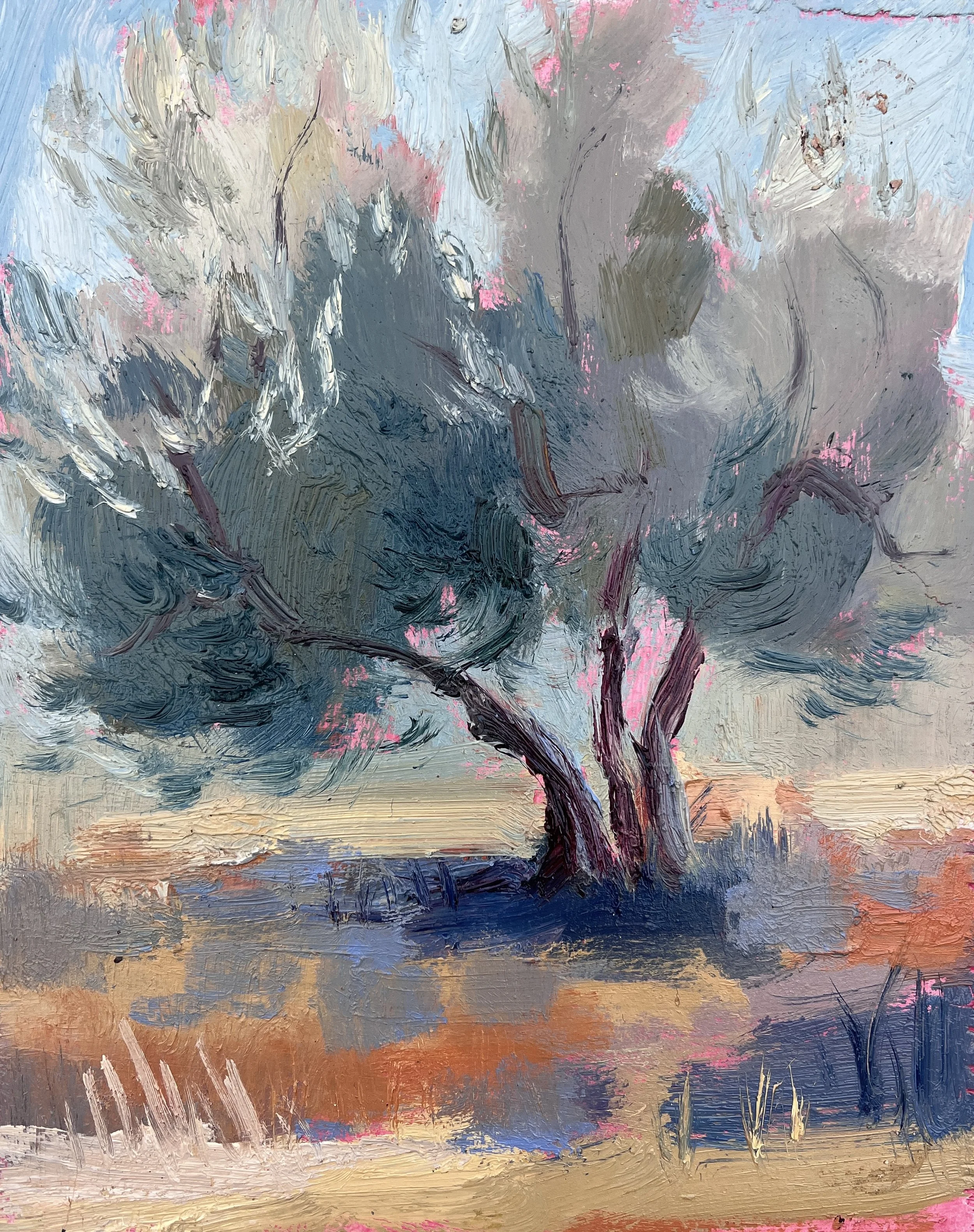 6. SILVER OLIVE TREE