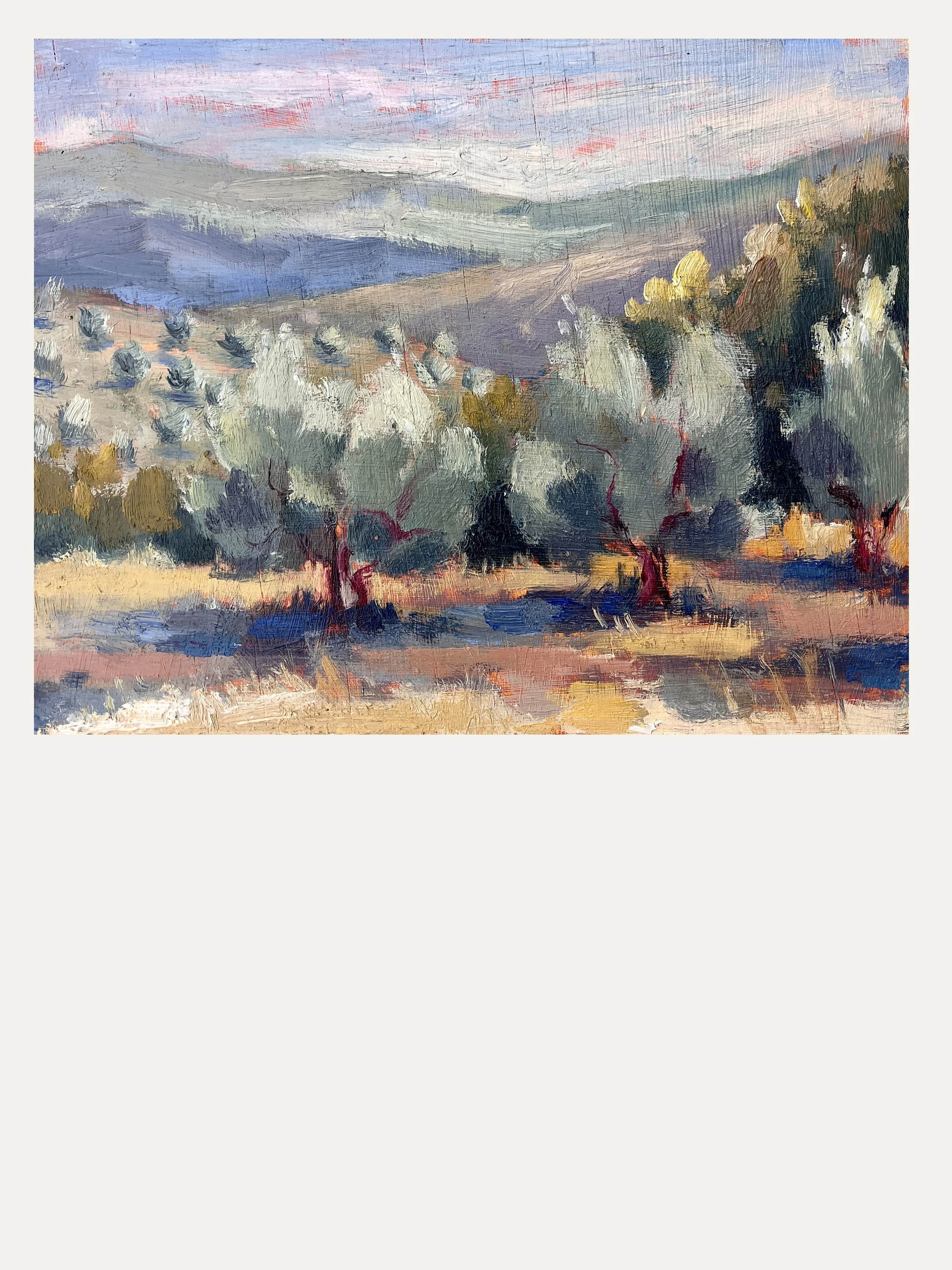 17. OLIVE TREES OF TUSCANY