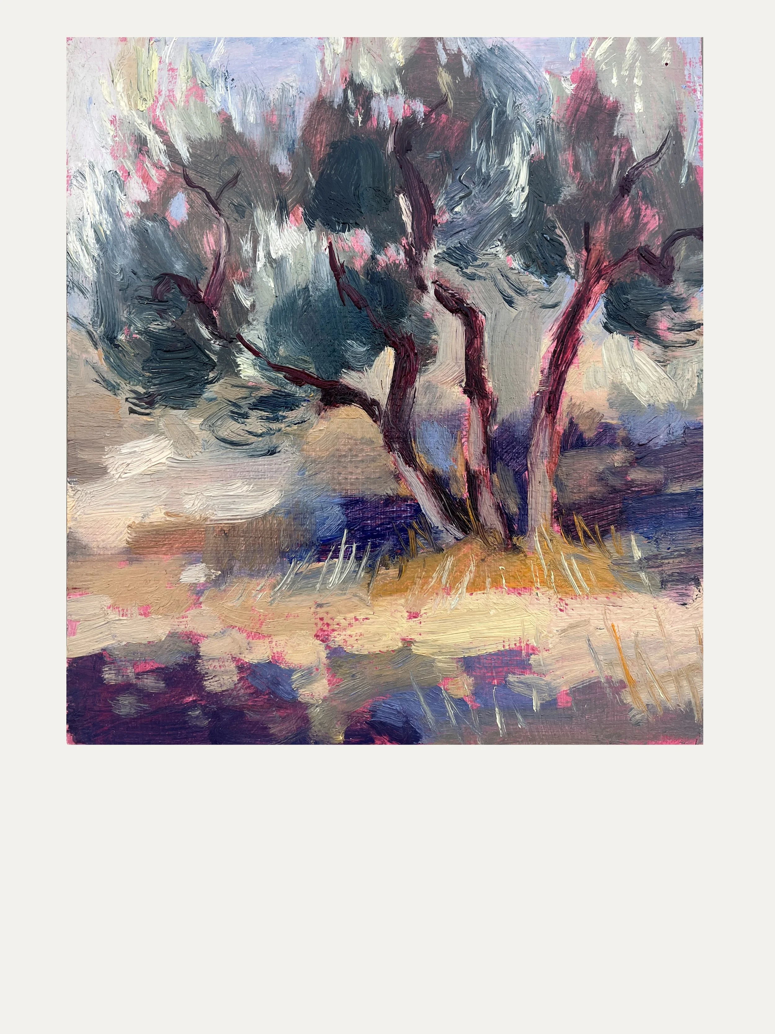 9. OLIVE DAPPLED LIGHT