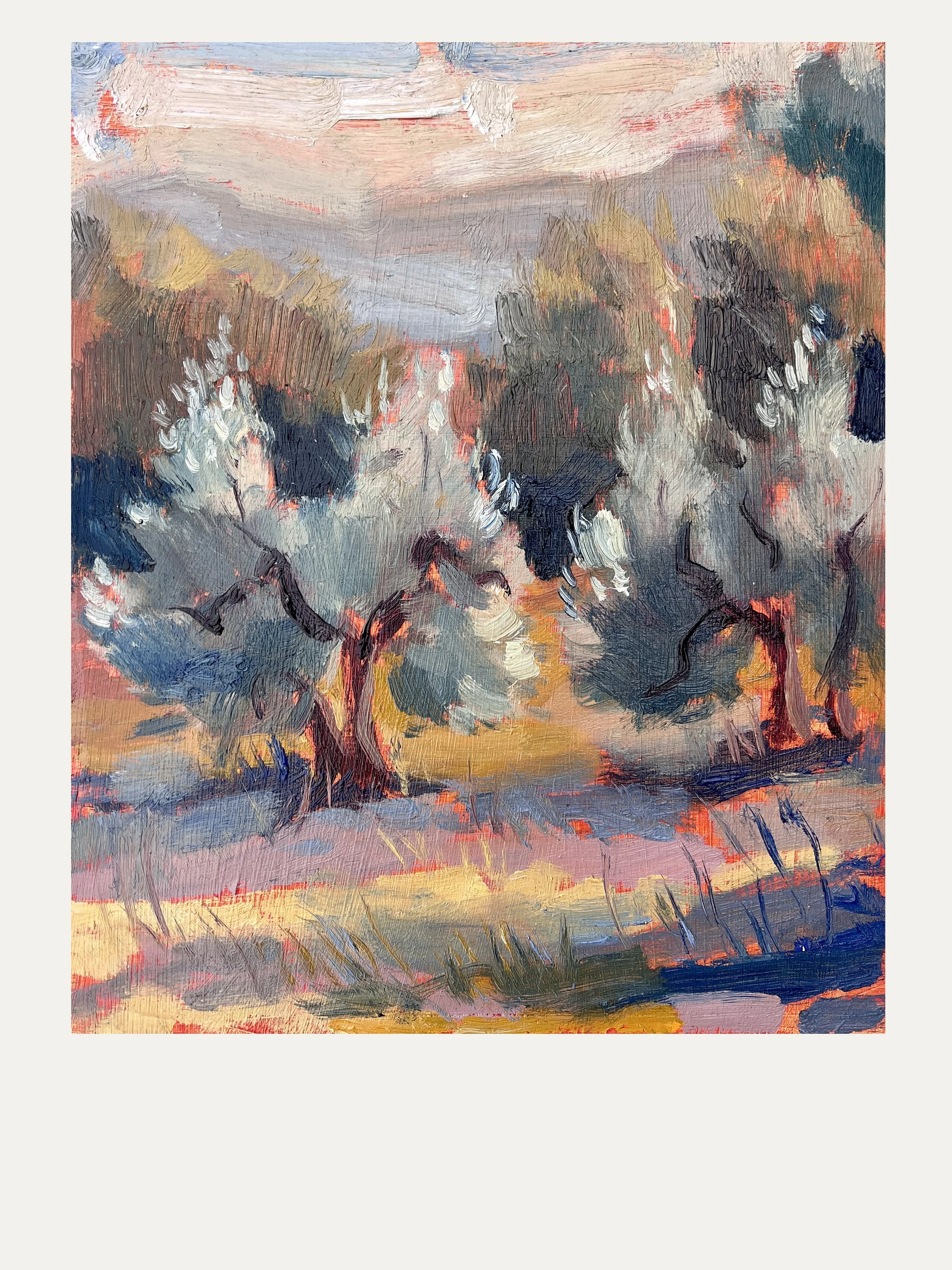 16. THE GROVE AT DUSK