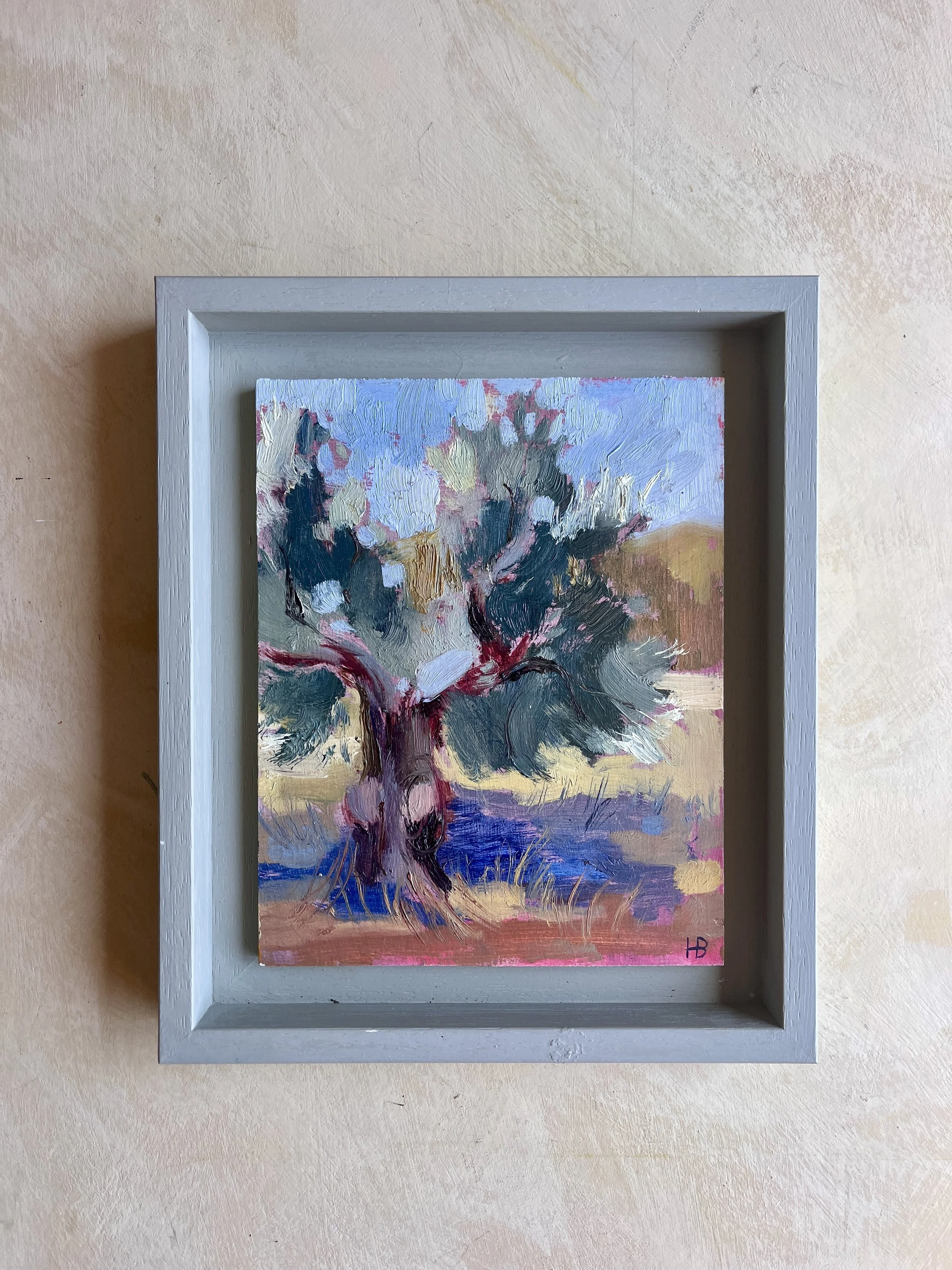 4. OLIVE IN SUNLIGHT