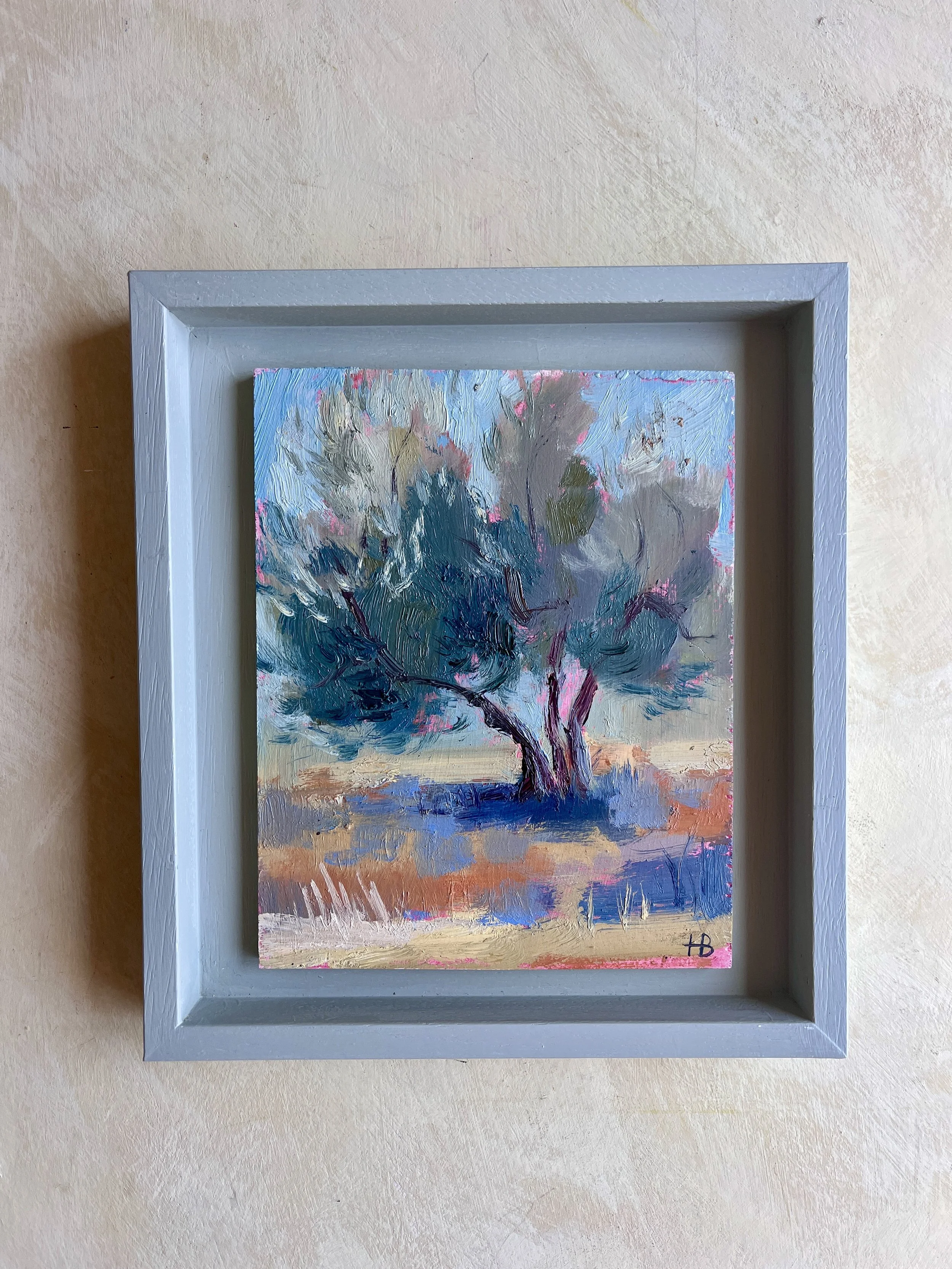 6. SILVER OLIVE TREE