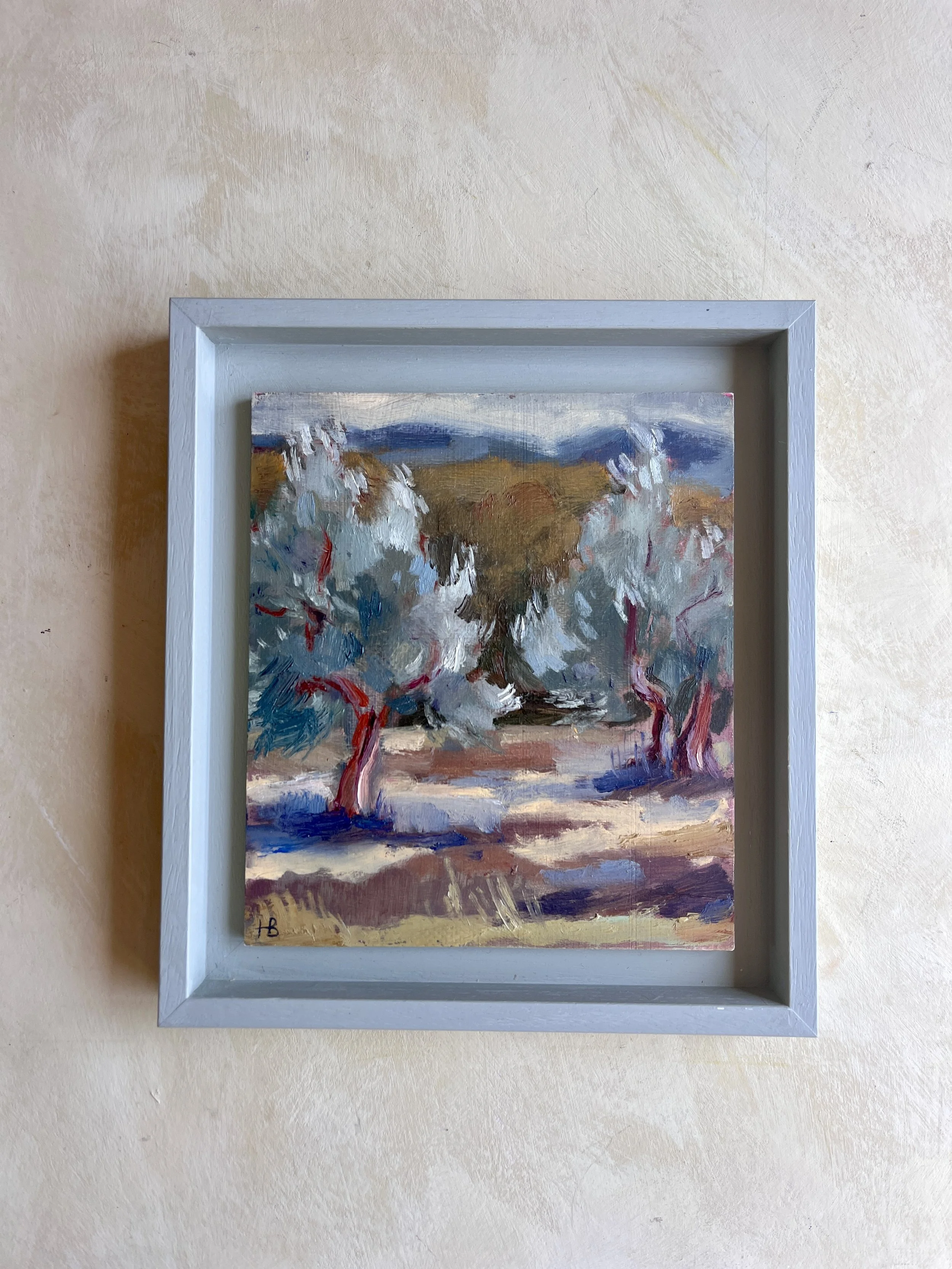 10. TWO OLD OLIVE TREES