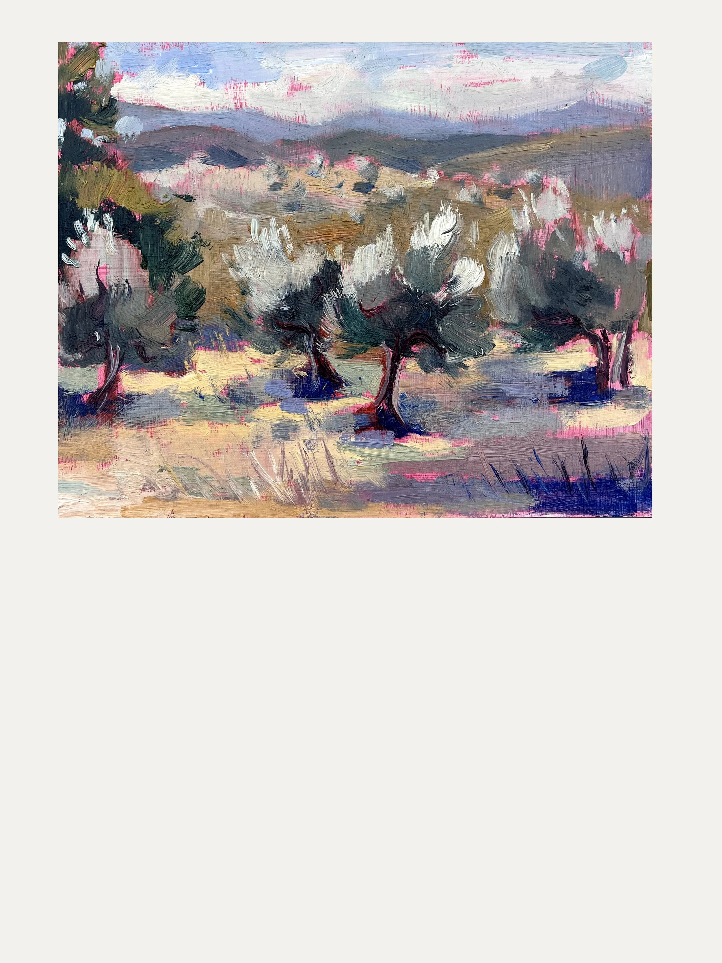 14. ROLLING HILLS, OLIVE GROVE