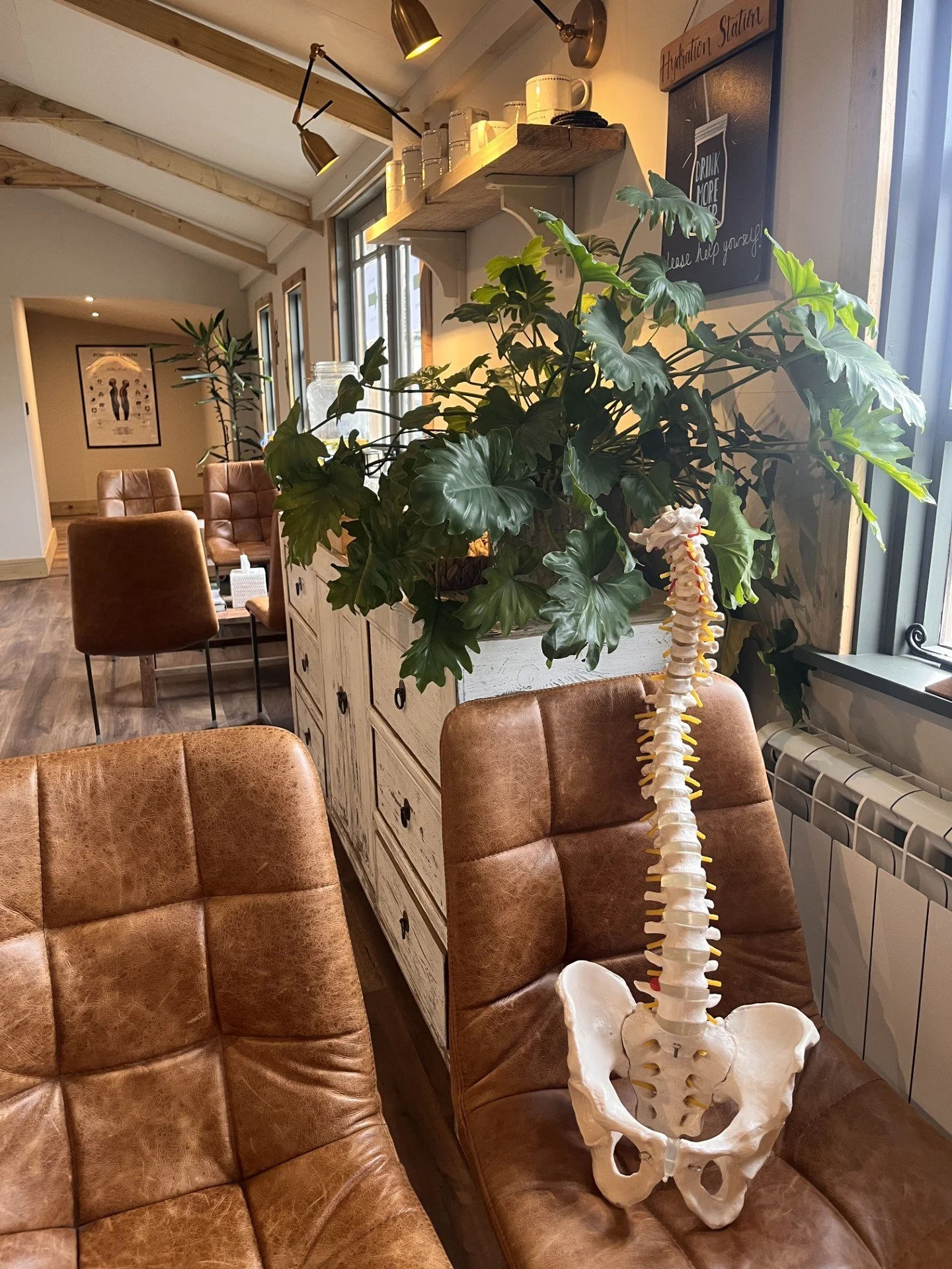 🌿 What Is Chiropractic, Really?&nbsp;