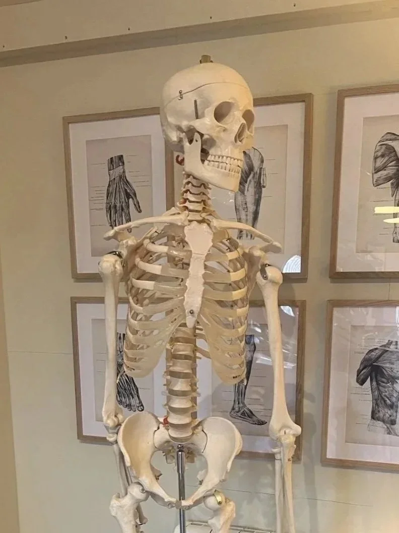 The Role of the Spine in Overall Health 🧠✨