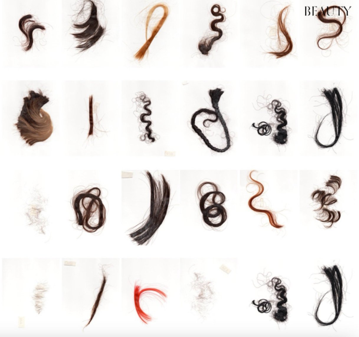 Hair as History: The Untold Story of What Women Do to Their Hair and Why It Matters