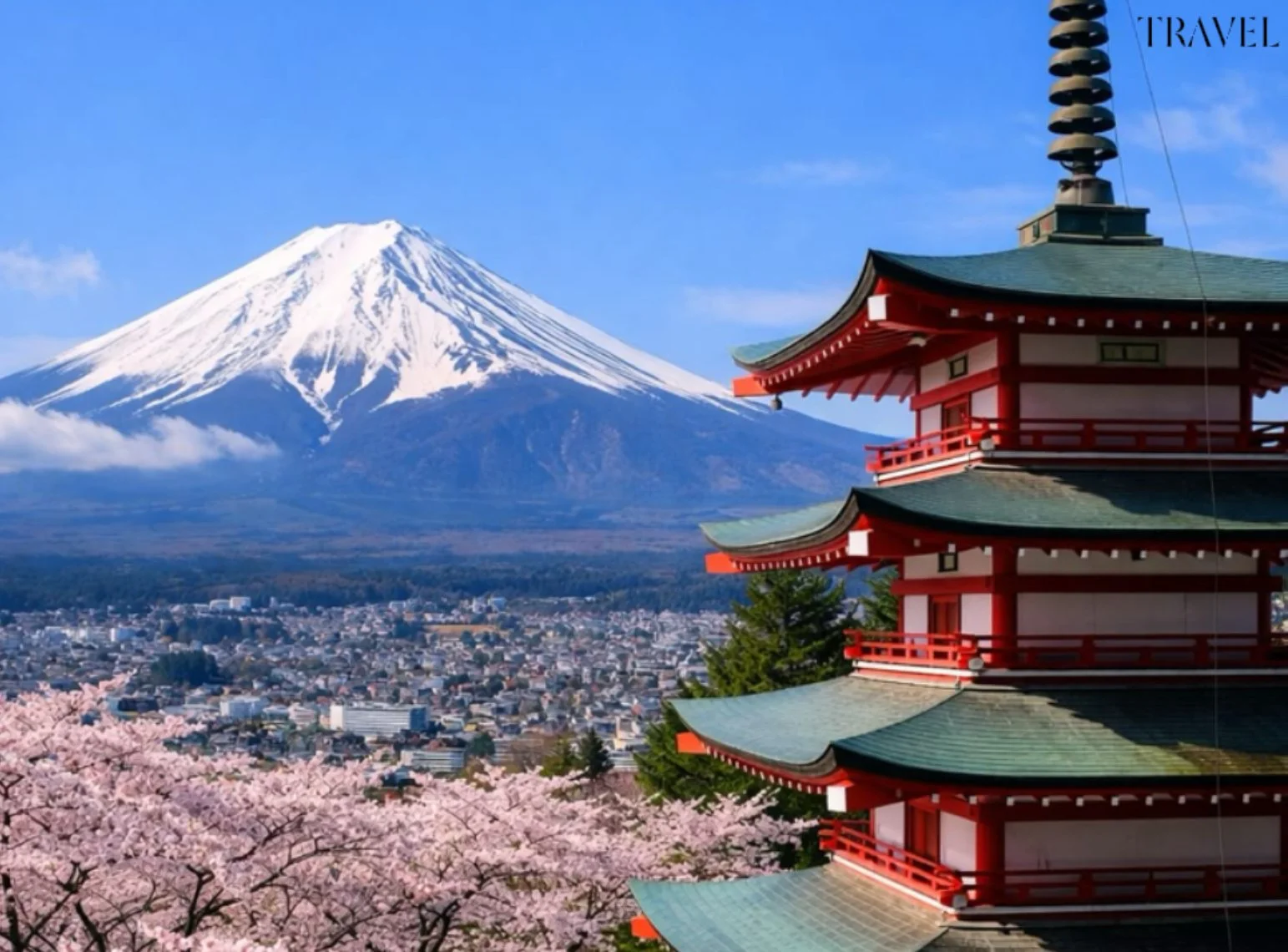 Japan in June: The Hydrangea Season Nobody Talks About