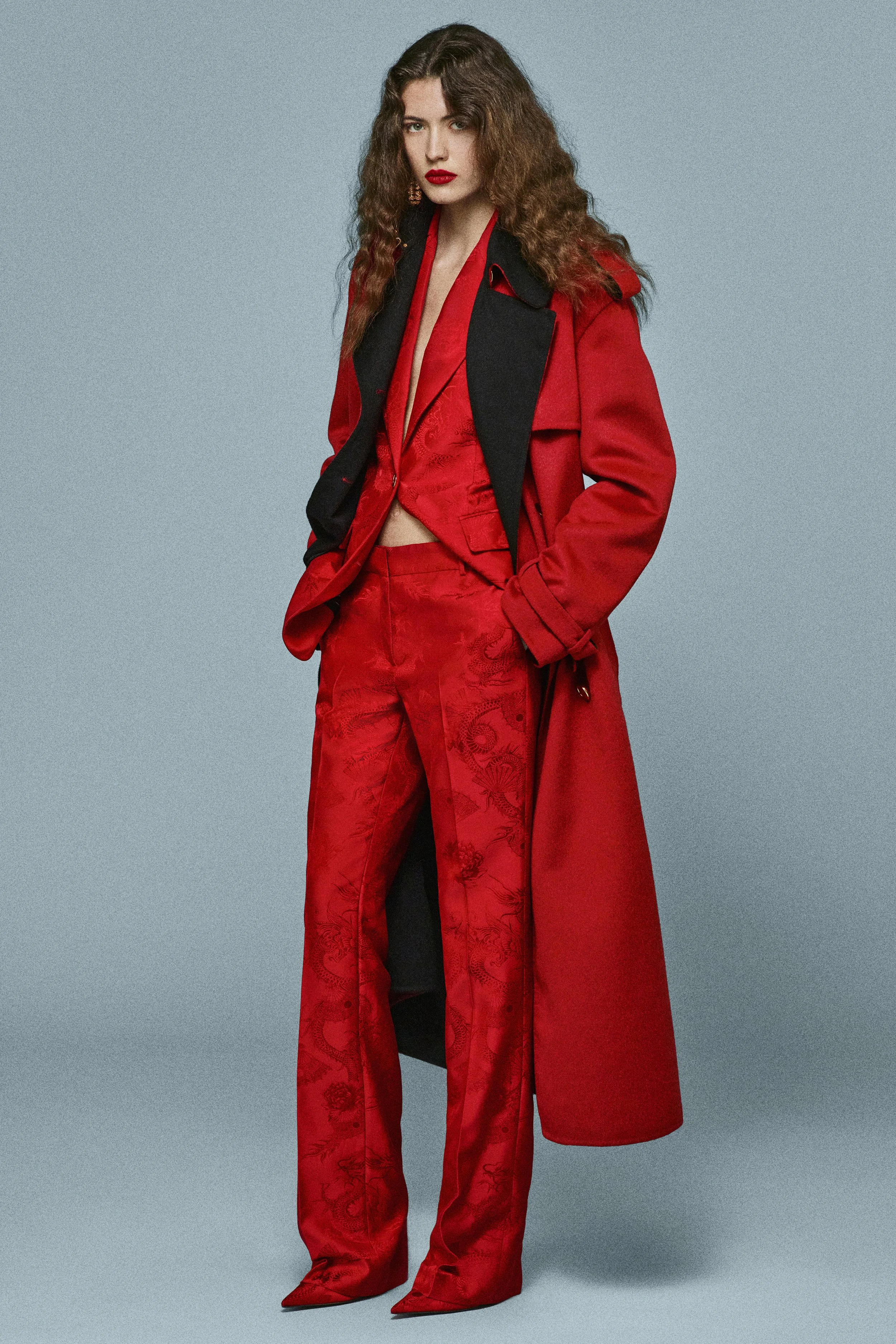 Roberto_Cavalli_PreFall_25-26_HD_36.jpg