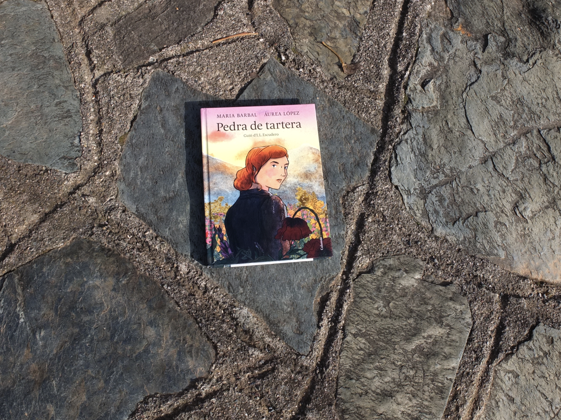 ¿És Pedra de tartera il·lustrada una fidel adaptació de la novel·la original Pedra de tartera?