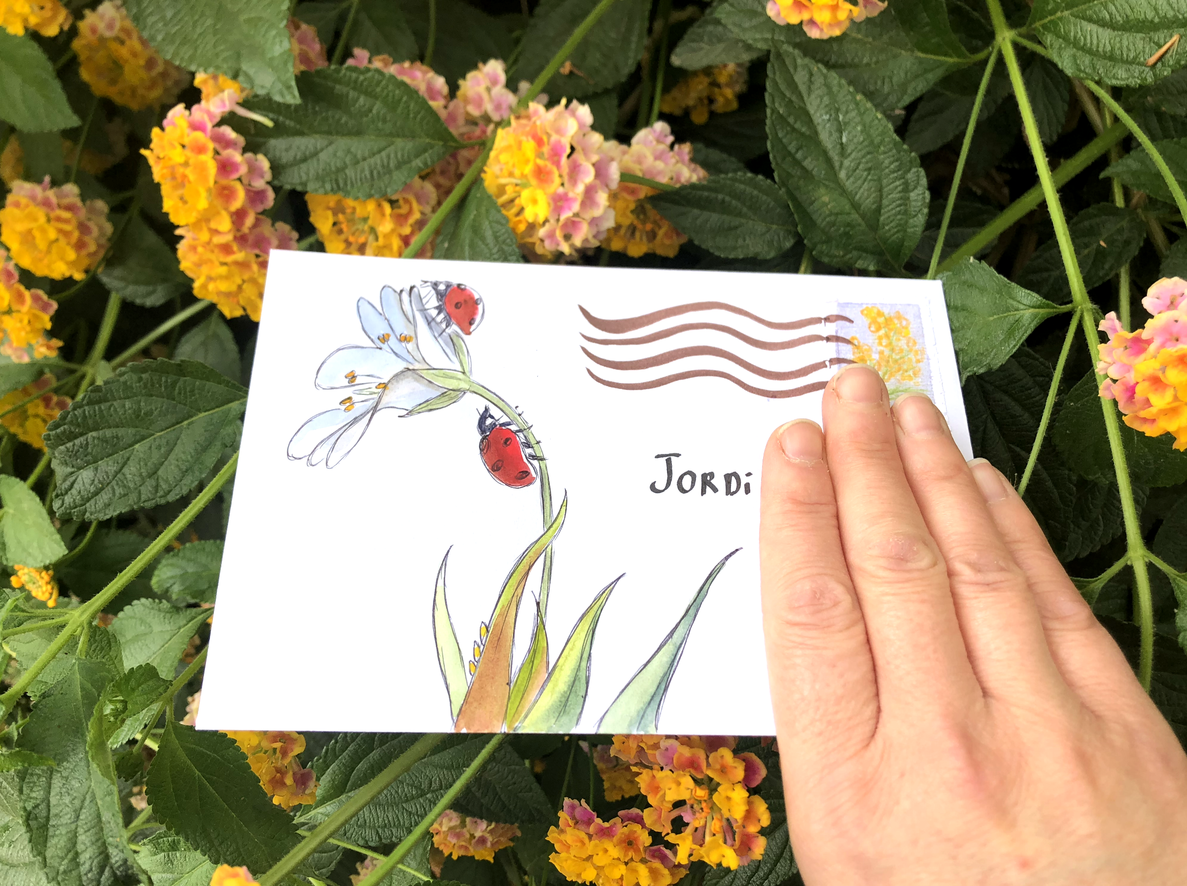 💌 Palabras que abrazan 💌 Comunicación epistolar 💌 mayo-junio