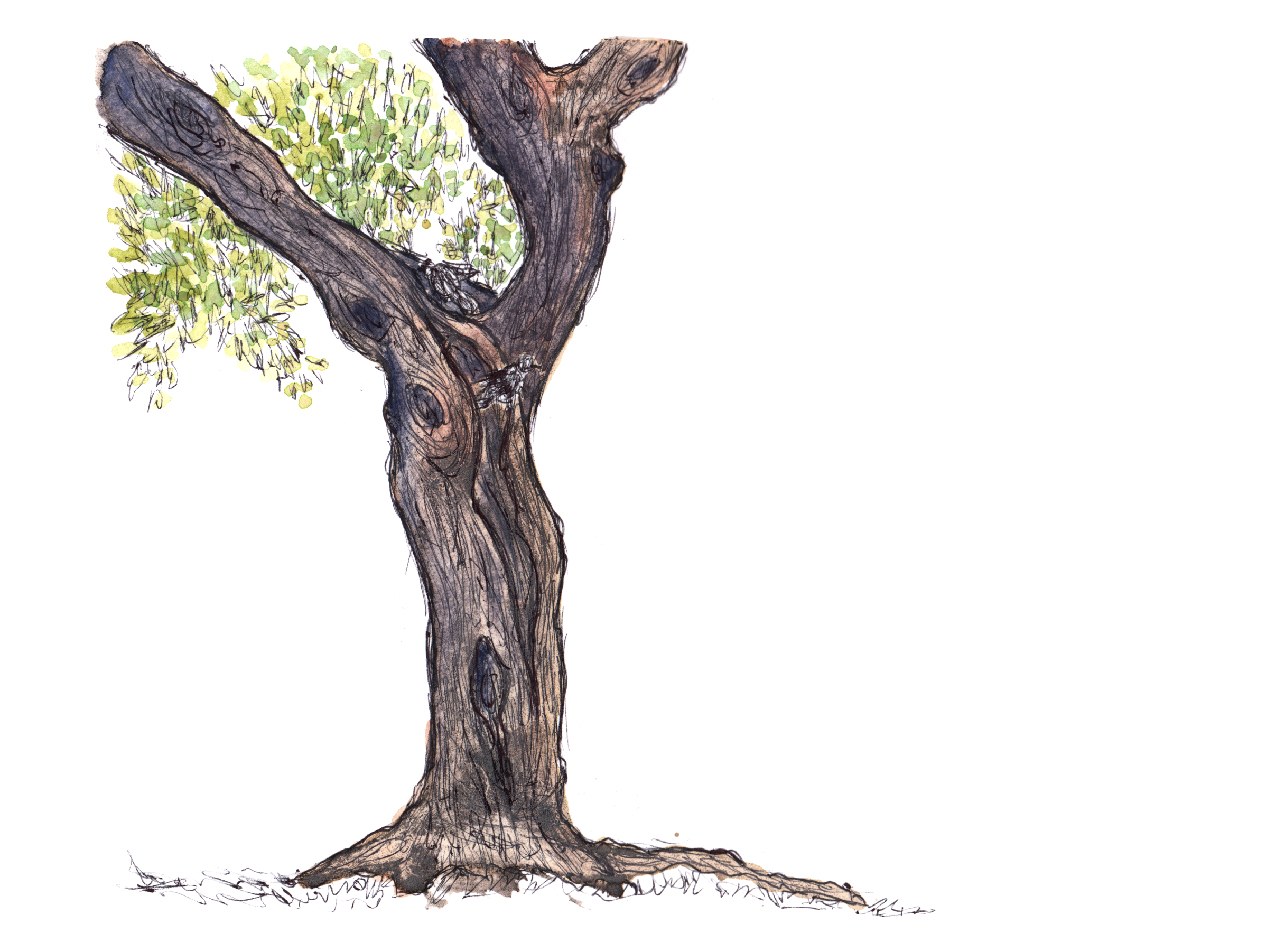 🌱🌟 “Plein air” Palau Robert&nbsp;